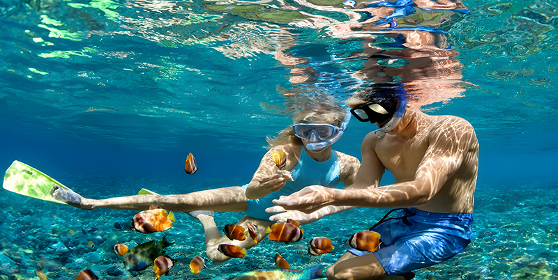 Crystal Bay Snorkeling Point